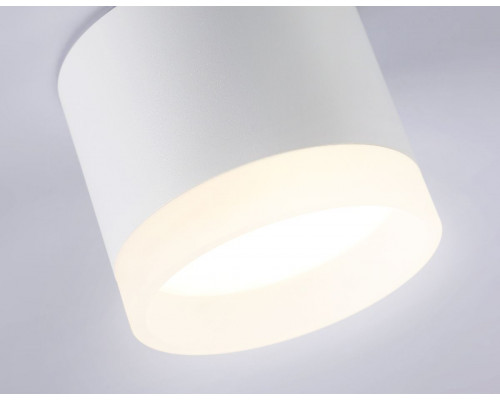 Дополнительное фото Светильник накладной Ambrella Light Acrylic Frost TN5365: Купить в Интернет магазин освещения GCSVET.RU