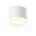 Основное фото Светильник накладной Ambrella Light Acrylic Frost TN5365: Купить в Интернет магазин освещения GCSVET.RU
