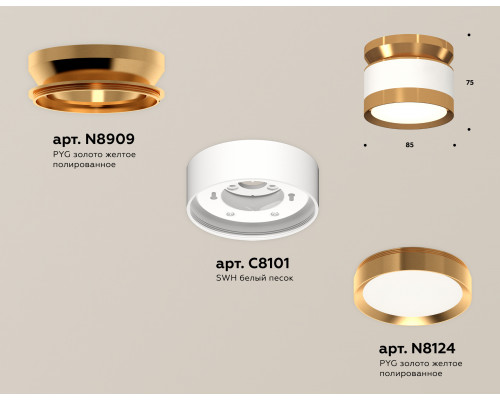 Дополнительное фото Светильник потолочный Ambrella Light Techno Spot XS8101060 (N8909, C8101, N8124): Купить в Интернет магазин освещения GCSVET.RU