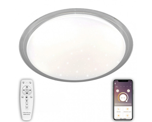 Основное фото Светильник потолочный Natali Kovaltseva LED LAMPS 81102: Купить в Интернет магазин освещения GCSVET.RU