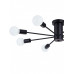 Дополнительное фото Люстра потолочная Natali Kovaltseva LOFT 75140/8C BLACK: Купить в Интернет магазин освещения GCSVET.RU