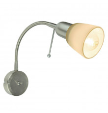 Светильник спот Arte Lamp Lettura A7009AP-1SS