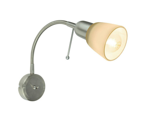 Основное фото Светильник спот Arte Lamp Lettura A7009AP-1SS: Купить в Интернет магазин освещения GCSVET.RU