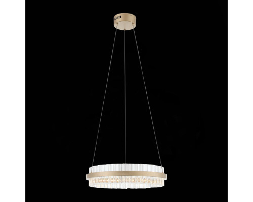 Дополнительное фото Светильник подвесной LED ST Luce Cherio SL383.203.01: Купить в Интернет магазин освещения GCSVET.RU