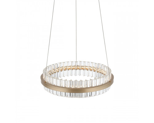 Дополнительное фото Светильник подвесной LED ST Luce Cherio SL383.203.01: Купить в Интернет магазин освещения GCSVET.RU