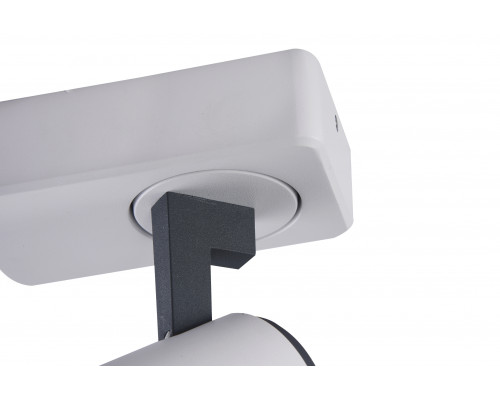 Дополнительное фото Светильник спот Vele Luce Lexi VL8071S01: Купить в Интернет магазин освещения GCSVET.RU