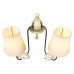 Дополнительное фото Настенный светильник LOFT IT Birds Loft1029W-2: Купить в Интернет магазин освещения GCSVET.RU
