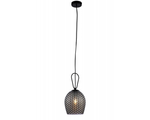 Дополнительное фото Светильник подвесной Indigo Armonia 11001/1P Black V000085: Купить в Интернет магазин освещения GCSVET.RU