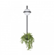 Светильник настенный Loft IT Jardin 10121W/B