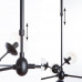 Дополнительное фото Люстра подвесная Arte Lamp A1664SP-12BK: Купить в Интернет магазин освещения GCSVET.RU