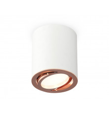 Светильник потолочный Ambrella Light Techno Spot XS7421004 (C7421, N7005)