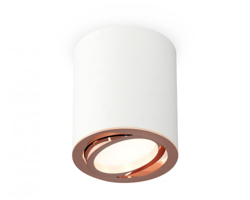 Основное фото Светильник потолочный Ambrella Light Techno Spot XS7421004 (C7421, N7005): Купить в Интернет магазин освещения GCSVET.RU