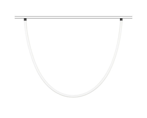 Основное фото Светильник трековый (магнитый) Arlight MAG-ORIENT-TUBE-ELASTIC-R25-L2500-35W Day4000 (BK, 360 deg, 48V, DALI) 044331: Купить в Интернет магазин освещения GCSVET.RU
