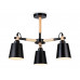 Основное фото Люстра потолочная Ambrella Light Loft TR82206: Купить в Интернет магазин освещения GCSVET.RU