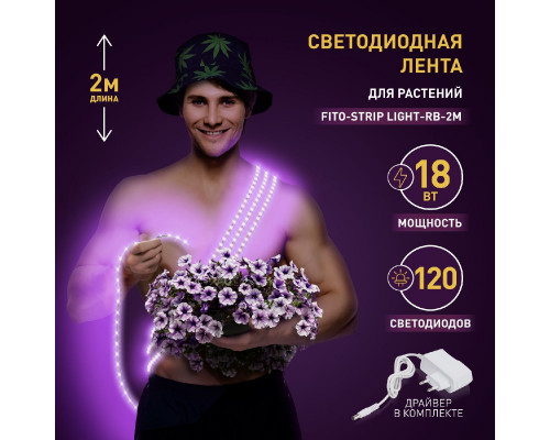 Дополнительное фото Лента светодиодная для растений Эра 18Вт 1400K 2м IP65 FITO-Strip Light-RB-2m красно-синего спектра Б0057282: Купить в Интернет магазин освещения GCSVET.RU
