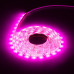 Дополнительное фото Лента светодиодная для растений Эра 18Вт 1400K 2м IP65 FITO-Strip Light-RB-2m красно-синего спектра Б0057282: Купить в Интернет магазин освещения GCSVET.RU