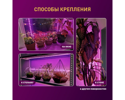 Дополнительное фото Лента светодиодная для растений Эра 18Вт 1400K 2м IP65 FITO-Strip Light-RB-2m красно-синего спектра Б0057282: Купить в Интернет магазин освещения GCSVET.RU
