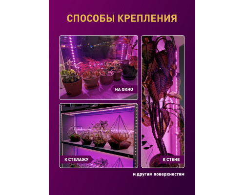 Дополнительное фото Лента светодиодная для растений Эра 18Вт 1400K 2м IP65 FITO-Strip Light-RB-2m красно-синего спектра Б0057282: Купить в Интернет магазин освещения GCSVET.RU
