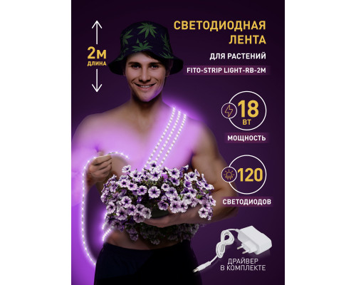 Дополнительное фото Лента светодиодная для растений Эра 18Вт 1400K 2м IP65 FITO-Strip Light-RB-2m красно-синего спектра Б0057282: Купить в Интернет магазин освещения GCSVET.RU