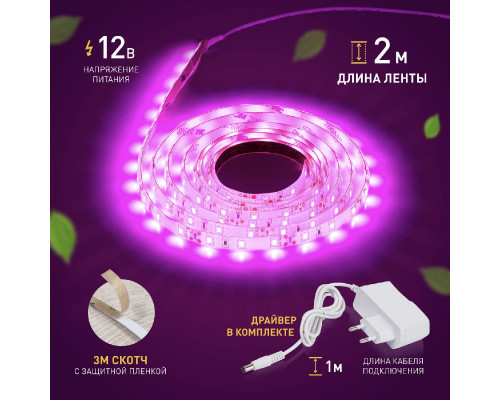 Дополнительное фото Лента светодиодная для растений Эра 18Вт 1400K 2м IP65 FITO-Strip Light-RB-2m красно-синего спектра Б0057282: Купить в Интернет магазин освещения GCSVET.RU