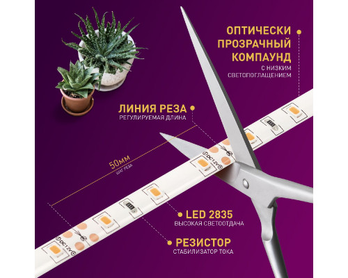 Дополнительное фото Лента светодиодная для растений Эра 18Вт 1400K 2м IP65 FITO-Strip Light-RB-2m красно-синего спектра Б0057282: Купить в Интернет магазин освещения GCSVET.RU