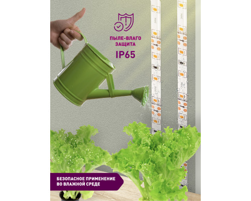 Дополнительное фото Лента светодиодная для растений Эра 18Вт 1400K 2м IP65 FITO-Strip Light-RB-2m красно-синего спектра Б0057282: Купить в Интернет магазин освещения GCSVET.RU
