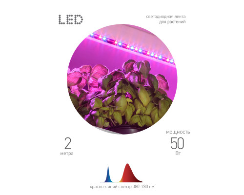 Дополнительное фото Лента светодиодная для растений Эра 18Вт 1400K 2м IP65 FITO-Strip Light-RB-2m красно-синего спектра Б0057282: Купить в Интернет магазин освещения GCSVET.RU