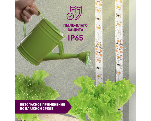 Дополнительное фото Лента светодиодная для растений Эра 18Вт 1400K 2м IP65 FITO-Strip Light-RB-2m красно-синего спектра Б0057282: Купить в Интернет магазин освещения GCSVET.RU