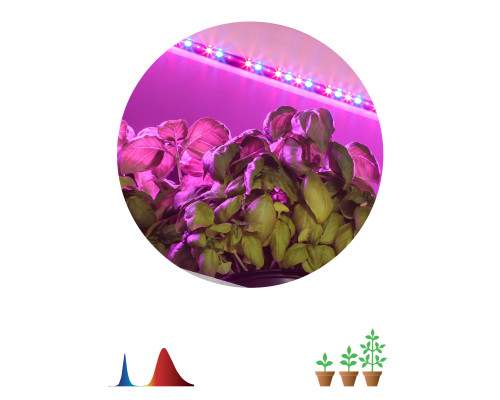 Дополнительное фото Лента светодиодная для растений Эра 18Вт 1400K 2м IP65 FITO-Strip Light-RB-2m красно-синего спектра Б0057282: Купить в Интернет магазин освещения GCSVET.RU