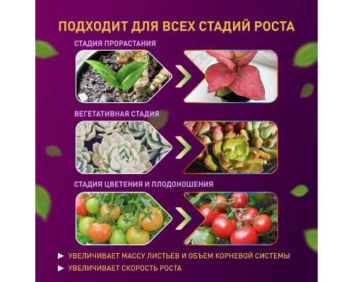 Дополнительное фото Лента светодиодная для растений Эра 18Вт 1400K 2м IP65 FITO-Strip Light-RB-2m красно-синего спектра Б0057282: Купить в Интернет магазин освещения GCSVET.RU