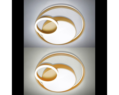 Дополнительное фото Люстра потолочная Natali Kovaltseva LED LAMPS 81305: Купить в Интернет магазин освещения GCSVET.RU