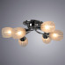 Дополнительное фото Люстра потолочная ARTE Lamp A2701PL-6CC: Купить в Интернет магазин освещения GCSVET.RU