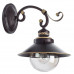 Основное фото Настенный светильник Arte Lamp 7 A4577AP-1CK: Купить в Интернет магазин освещения GCSVET.RU