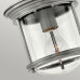 Дополнительное фото Светильник потолочный Hinkley Hadrian QN-HADRIAN-MINI-F-AN-CLEAR: Купить в Интернет магазин освещения GCSVET.RU