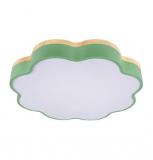 Светильник потолочный Loft IT Axel 10225/36 Green