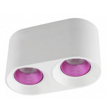 Светильник накладной Denkirs DK3096-WH+PI