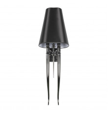 Настенный светильник Loft IT Brunilde 10207W/L Black