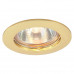 Основное фото Светильник встраиваемый Arte Lamp Basic A2103PL-1GO: Купить в Интернет магазин освещения GCSVET.RU