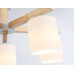 Дополнительное фото Люстра потолочная Ambrella Light Loft TR83113: Купить в Интернет магазин освещения GCSVET.RU