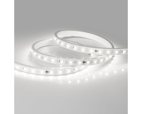 Основное фото Лента светодиодная Arlight ARL-PV-B54-15.5mm 230V White6000 (8 W/m, IP65, 5060, 50m) 027056(2): Купить в Интернет магазин освещения GCSVET.RU