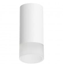 Светильник накладной Lightstar Rullo R43631 (214436+202431)