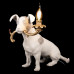 Дополнительное фото Лампа настольная Loft IT Dog 10312 Grey: Купить в Интернет магазин освещения GCSVET.RU