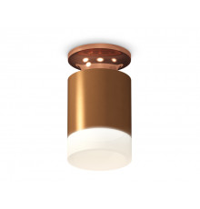 Светильник потолочный Ambrella Light Techno Spot XS6304153 (N6906, C6304, N6248)