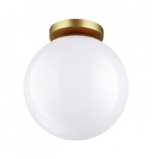 Светильник потолочный Odeon Light 4248/1C