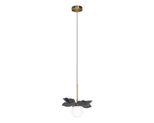 Основное фото Светильник подвесной Loft IT Monro 10213/B Black: Купить в Интернет магазин освещения GCSVET.RU