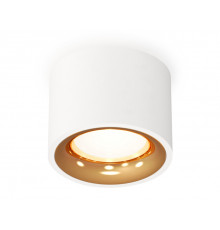 Светильник потолочный Ambrella Light Techno Spot XS7510024 (C7510, N7014)