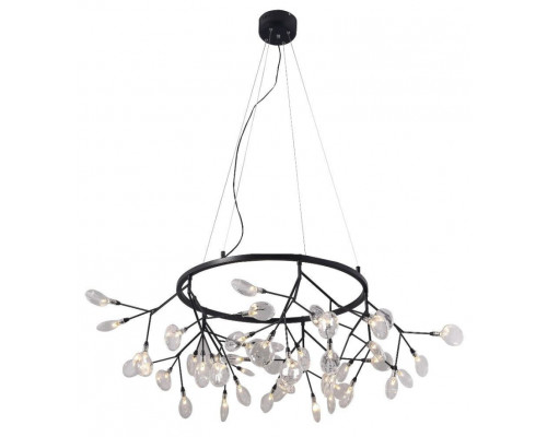 Основное фото Люстра подвесная LED Crystal Lux Evita SP45 D BLack/Transparent: Купить в Интернет магазин освещения GCSVET.RU