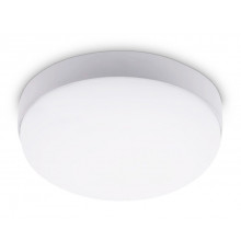 Светильник потолочный для улицы Ambrella Light Street ST8631