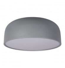 Светильник потолочный Loft IT Axel 10201/480 Grey
