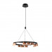 Основное фото Люстра подвесная Favourite Interline 4266-12P: Купить в Интернет магазин освещения GCSVET.RU